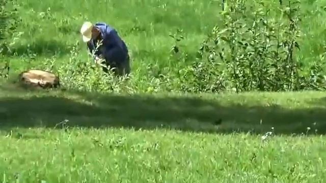 Кино зарисовка Сосновый Бор смотреть онлайн