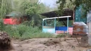 Сель в Арсланбобе