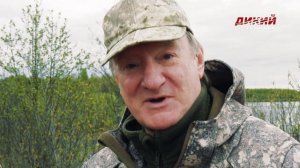 С подсадной в Тверской области. Охота по перу