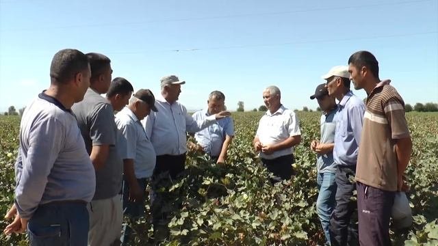 Рокогумин® в Узбекистане (узб)