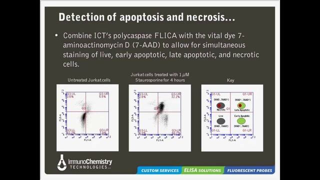 Solutions to Detect Cell Death смотреть онлайн