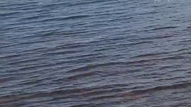 В выходные регион ждет жаркая погода без осадков смотреть онлайн