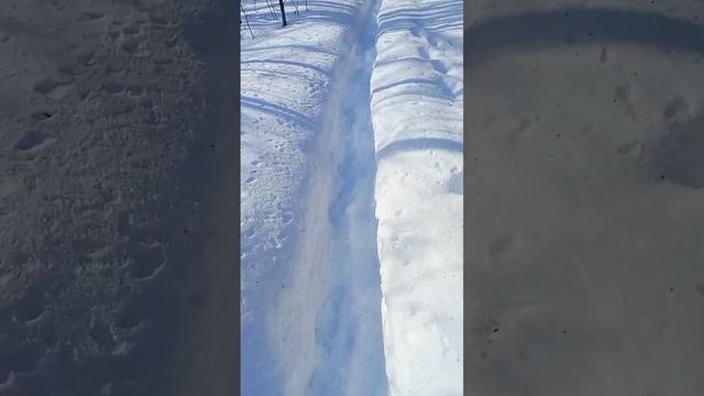 Стригинский бор. Зарисовки. смотреть онлайн