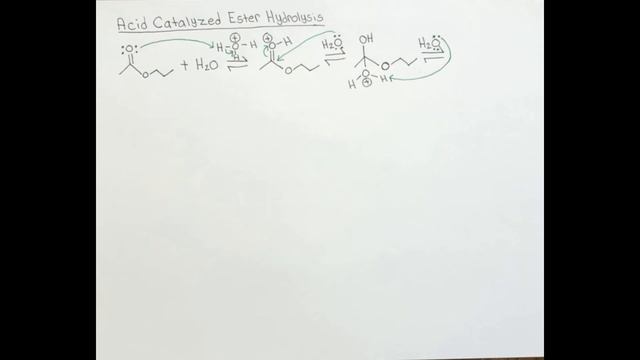 Acid Catalyzed Ester Hydrolysis смотреть онлайн