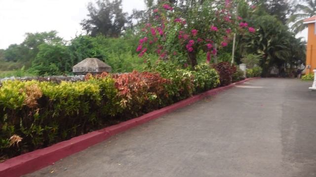 Best AirBnB in South Goa | Homestay in Goa with Direct Beach Access-Staying next to Benaulim Beach