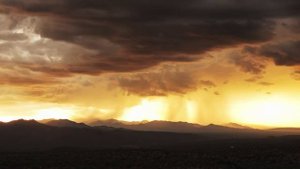 Transient-Spirit Must Train-Dhruva Aliman (UMV)