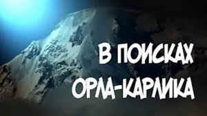 Записки Сибирского Натуралиста 4 сезон, 3 серия. В поисках орла-карлика.