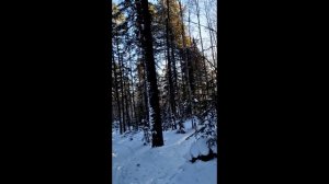 Поздний промысел январь 2024.  День 2 и день 3.