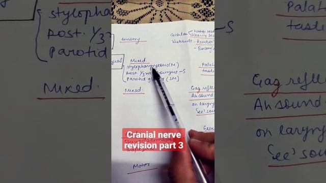 cranial nerve revision part 3