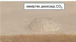 Қышқылдардың карбонаттармен реакциясы