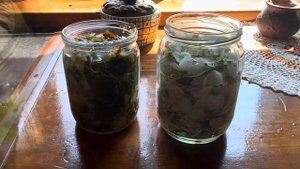 Домашние мази на травах своими руками.