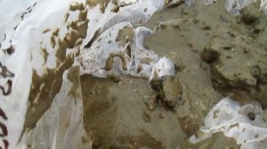 Чешуйки речного золота