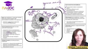 Строение клетки | Полный урок | Плюс