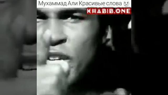 Сильные слова (часть.4)