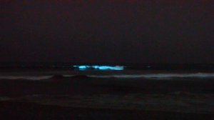 One minute of neon blue waves crashing on the Newport Beach shore