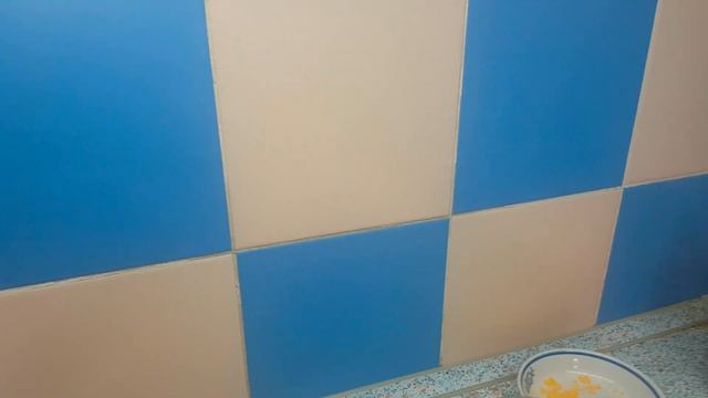 Борьба с муравьями часть 2 смотреть онлайн