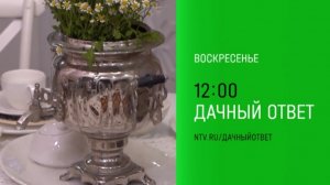 Анонс, Дачный Ответ, новый выпуск, воскресенье в 12:00 на НТВ, 2024