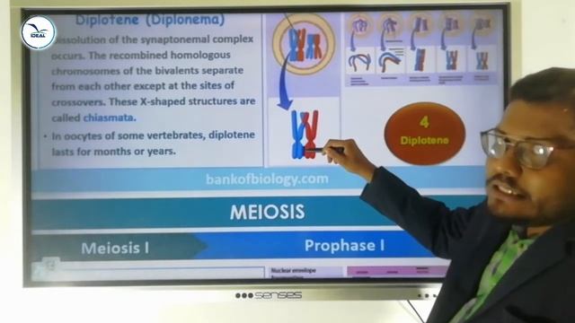 PLUS ONE BOTANY Cell Cycle  Cell Division Part 2
