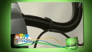 Жить здорово: микроэлемент марганец (Mn)