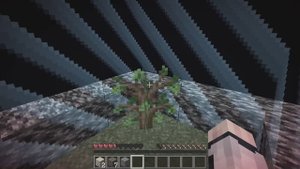 Мы Попали В МАЛЕНЬКИЙ БАРЬЕР 3x3 Полное Прохождение! Minecraft!
