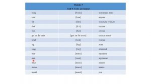 Unit 9: Cows are funny! Spotlight 3