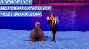 МОСКВАРИУМ .Водное шоу "Морская симфония". Морж Лора. .Вивалььди .Времена года.