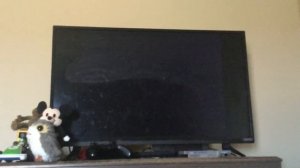 Opening To Animaniacs Volume 3 2007 DVD (Disc 5)