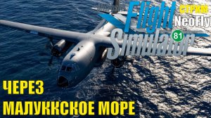 Microsoft Flight Simulator 2020 (NeoFly) - Через Малуккское море