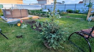 # 401. Что надумали с беседкой. Покупки растений и для бассейна. Загородная жизнь с нуля 2024