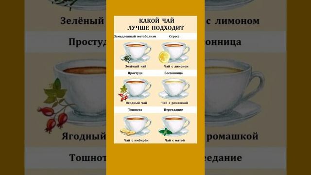 Полезно знать про чай чай стресс простуда метаболизм бессоница тошнота  полезныесоветы
