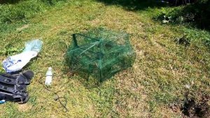 Первый опыт ловли Приморского ЧИЛИМА...