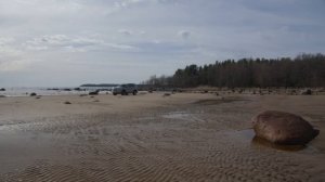 Промо ролики про TANK v2