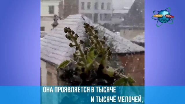 Дмитрий Сергеевич Лихачев.«Письма о добром и прекрасном»