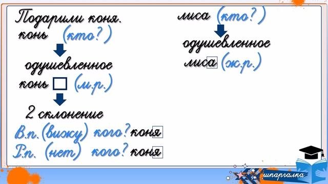 В. п и Р. п  одушевленных существительных.