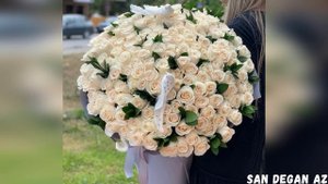 Новая Чеченская Песня НОВИНКА😍Дашо Хила и Хьа Дог😍2020