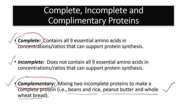 complementary proteins смотреть онлайн