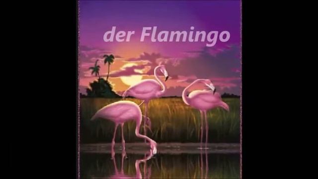 Die Vögel これらは鳥です。 Немецкий язык.
