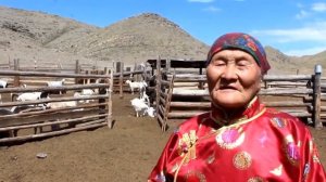 Ыраажы малчын Чаа-Холь песня "Хамнаарак" Шомбул Кара-Кыс Сергеевна