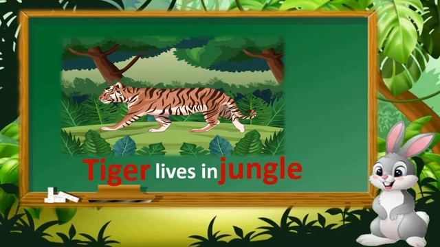 NOUN | ENGLISH GRAMMAR FOR KIDS || RAINBOW || смотреть онлайн