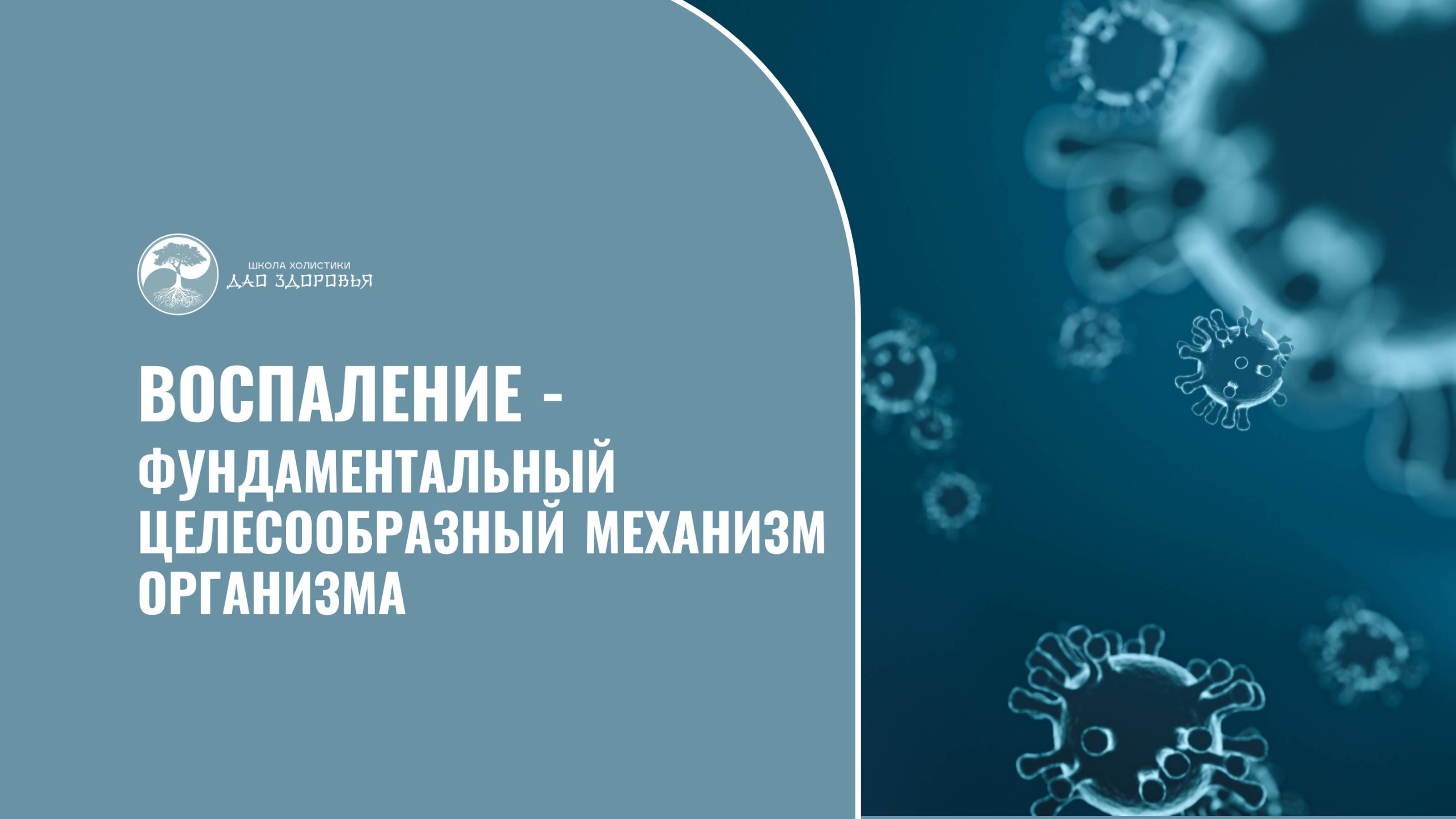 ПРЯМОЙ ЭФИР "ВОСПАЛЕНИЕ - ФУНДАМЕНТАЛЬНЫЙ ЦЕЛЕСООБРАЗНЫЙ МЕХАНИЗМ ОРГАНИЗМА"