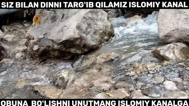 БУНДАЙ МАШЕНИКЛАР КЎПАЙДИ КЎРИБ ҚЎЙИНГ ШУКУРУЛЛОХ ДОМЛА МАРУЗАЛАР ТЎПЛАМИ