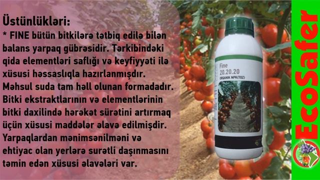 Fine 20.20.20 - ORQANİK NPK(TOZ)