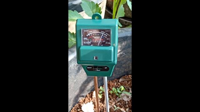 pH , light and moisture meter смотреть онлайн