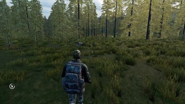 Hunting Simulator 2 охота с пойнтером смотреть онлайн