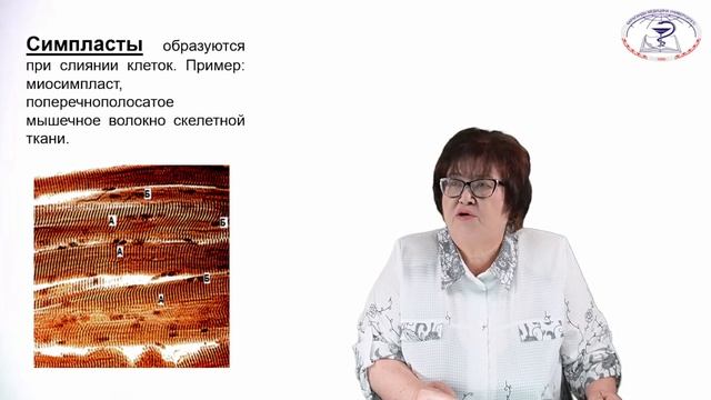 Основы учения о тканях