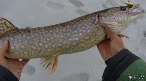 Зимняя рыбалка 2023/24. Ловля на балансир. День третий и четвёртый.