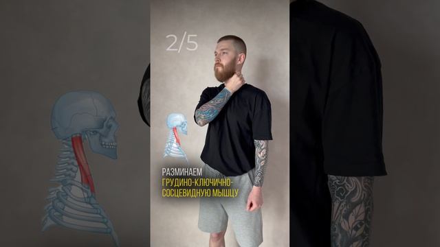 Самомассаж шейного отдела #массаж #шейныйотдел #больвшее смотреть онлайн