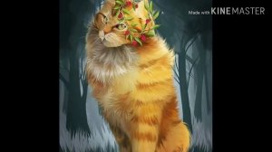 Факты о Котах-Воителях #1