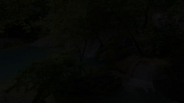 Музыка лечит сердце и сосуды. Музыка восстанавливает вегетативную нервную систему61