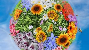 Райский сад БОГА на Земле будет!!! 11.11.24.